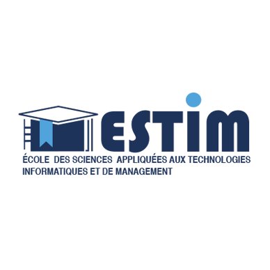ESTIM logo